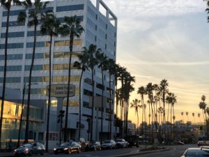 hollywood-campus photo