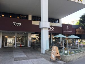 hollywood-campus photo